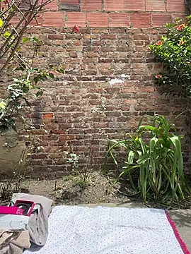 emily gv1 online show from 2, 6, 2026