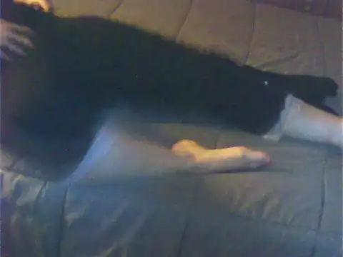 Cuginetti online show from 27, 4, 2026