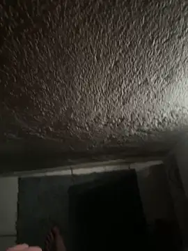 novinho0seu online show from 27, 4, 2026