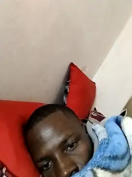 Ceebby25 online show from 29, 4, 2026