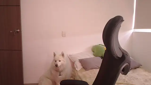 abbyyandmaxx online show from 24, 6, 2026
