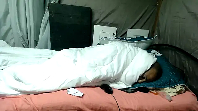 Snapshot of Camodick chatting on 12, 6, 2026 Camodick online show from 12, 6, 2026