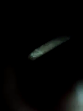 chutkirani737 online show from 6, 6, 2026