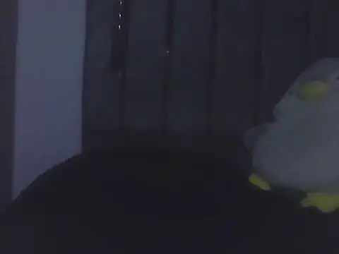 Gnnnnnn000 online show from 9, 6, 2026