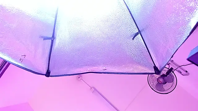 haileypetite online show from 28, 7, 2026