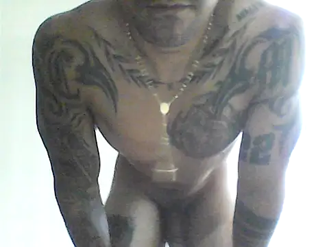 musclebody12 online show from 19, 5, 2026