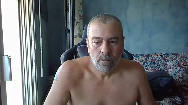panda 06200 online show from 23, 7, 2026
