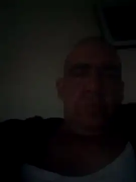 salvai online show from 26, 7, 2026