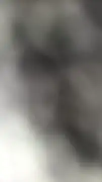 languste25 online show from 9, 7, 2026