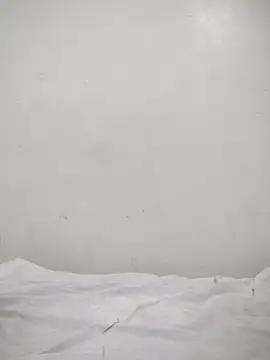 onlyfuckf online show from 31, 5, 2026