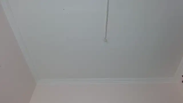 amara sanchez online show from 8, 7, 2026