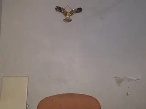 Snapshot of Frank_X_Husle chatting on 9, 7, 2026 Frank X Husle online show from 9, 7, 2026