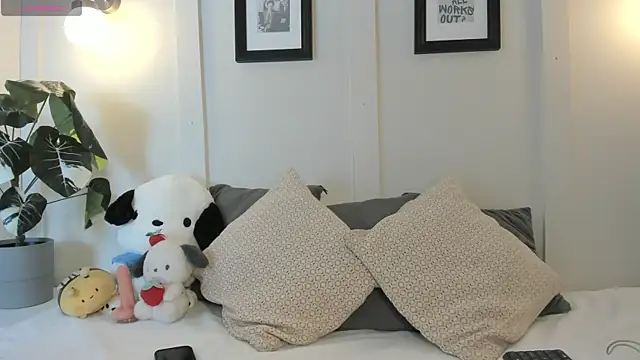 annyy catt online show from 24, 7, 2026