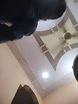 Anna gougeous online show from 27, 6, 2026