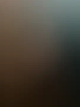 Snapshot of wizilx chatting on 5, 6, 2026 wizilx online show from 5, 6, 2026