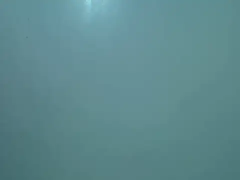 Snapshot of slimgirl2544 chatting on 9, 7, 2026 slimgirl2544 online show from 9, 7, 2026