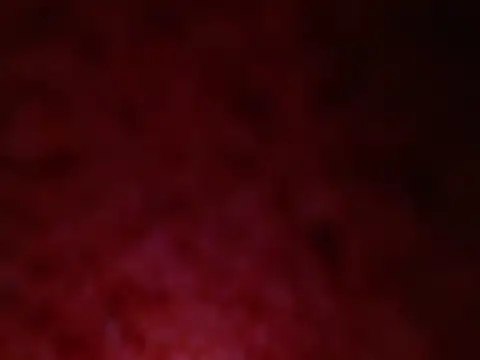 curvy 12 online show from 29, 7, 2026