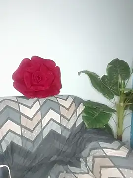 Cupid Mayra online show from 5, 8, 2026