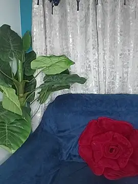 Cupid Mayra online show from 8, 8, 2026