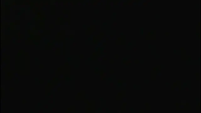 wendybilha online show from 25, 7, 2026