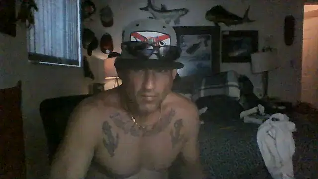 Reelg21 online show from 15, 7, 2026
