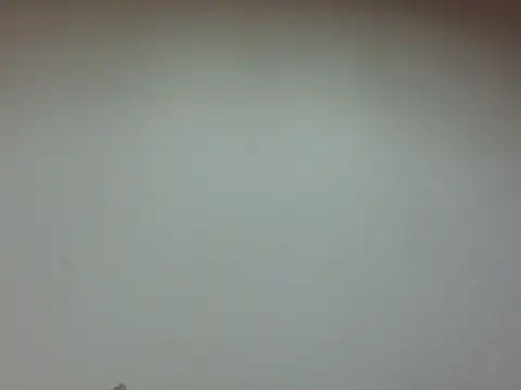 LiaBellini online show from 28, 7, 2026