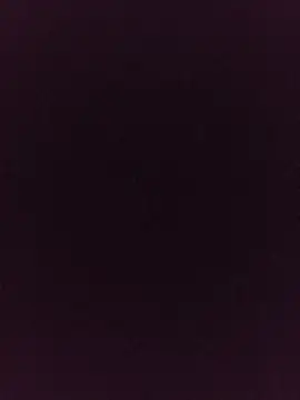 noirlynnexo online show from 6, 8, 2026