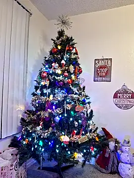 XxMs StarzxX online show from 21, 12, 2025