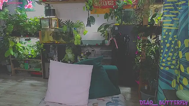 Dead Butterfly online show from 16, 2, 2025