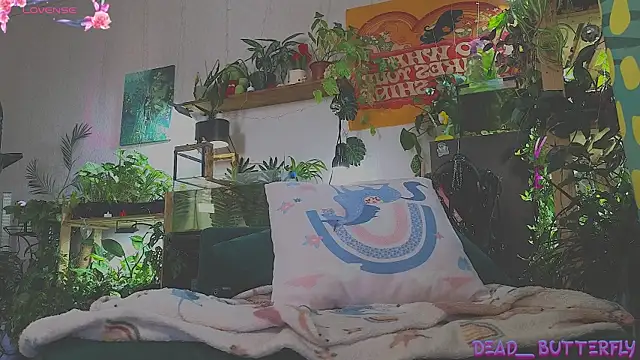 Dead Butterfly online show from 5, 3, 2025