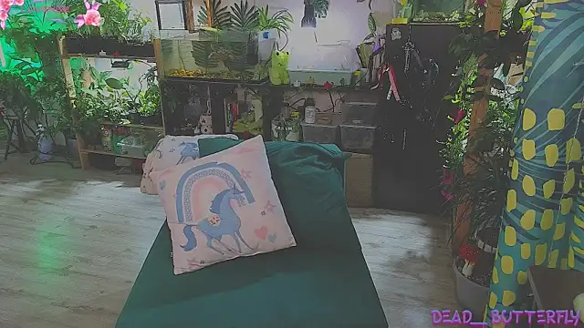 Dead Butterfly online show from 13, 3, 2025