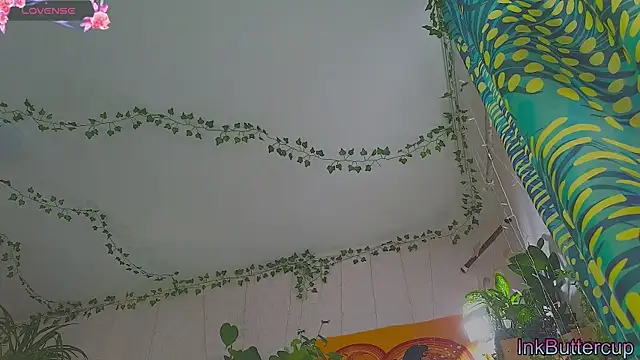 Dead Butterfly online show from 24, 9, 2025