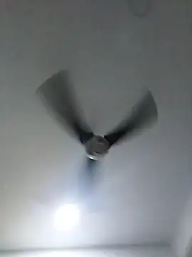 mutrox50 online show from 10, 1, 2026