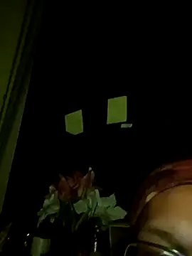 Snapshot of Meth_Hoe chatting on 1, 2, 2026 Meth Hoe online show from 1, 2, 2026