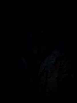 ktmtom247 online show from 9, 9, 2025