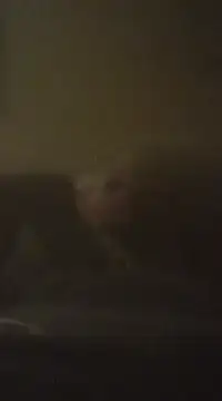 Snapshot of Biknight chatting on 9, 12, 2024 Biknight online show from 9, 12, 2024