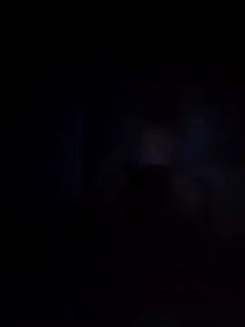 Snapshot of Biknight chatting on 12, 12, 2024 Biknight online show from 12, 12, 2024