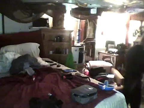 Snapshot of Biknight chatting on 24, 2, 2025 Biknight online show from 24, 2, 2025