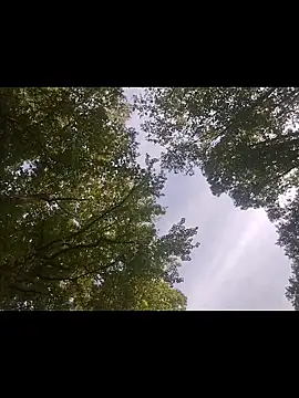 Biknight online show from 25, 4, 2026