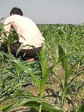 ThethunderPo online show from 3, 3, 2025