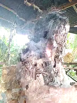 loveuu-bae online show from 23, 10, 2025