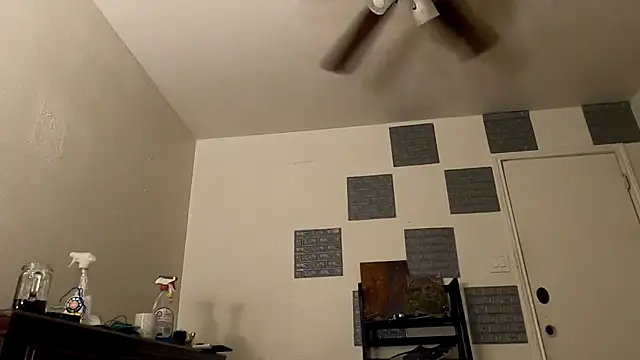 Snapshot of TheDaisyChaos chatting on 14, 3, 2025 TheDaisyChaos online show from 14, 3, 2025