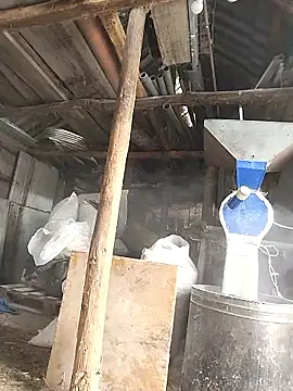 sarpe4 online show from 8, 1, 2026