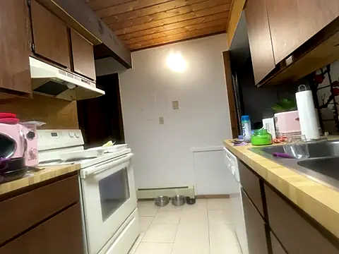 odbodu online show from 14, 11, 2025