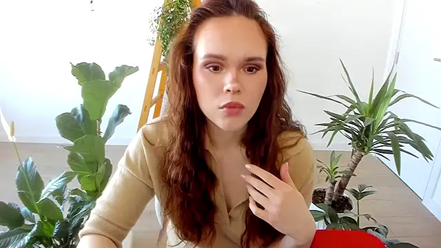 Pokemeboy online show from 31, 1, 2025