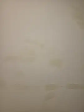 Adivaaa online show from 12, 2, 2026