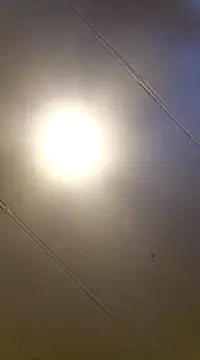 PinkTheHawk online show from 11, 1, 2025