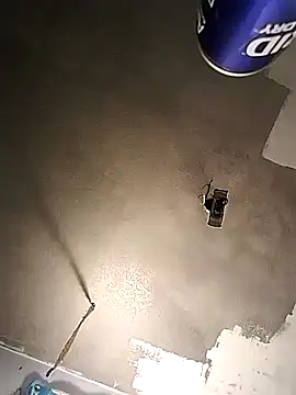 theeeegodv5 online show from 3, 12, 2024