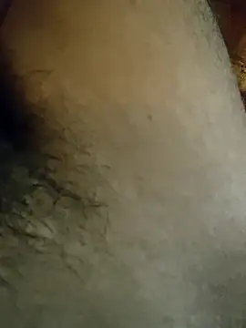 Samsharma1170 online show from 31, 1, 2025