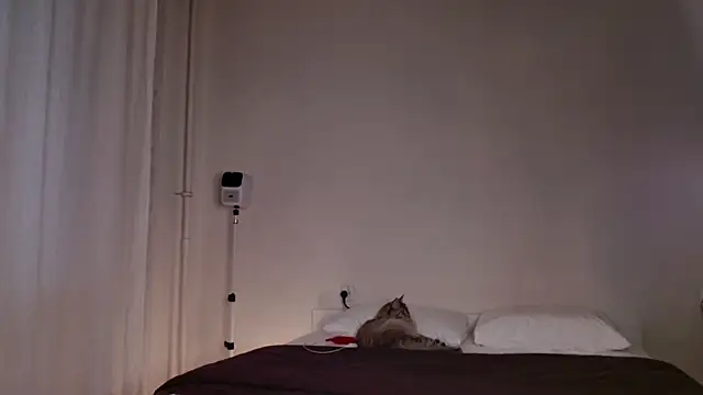 Snapshot of Milky___Way chatting on 5, 10, 2025 Milky Way online show from 5, 10, 2025